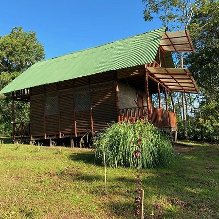 Eco Guest House- Sarapiqui 2 Eksteriør bilde