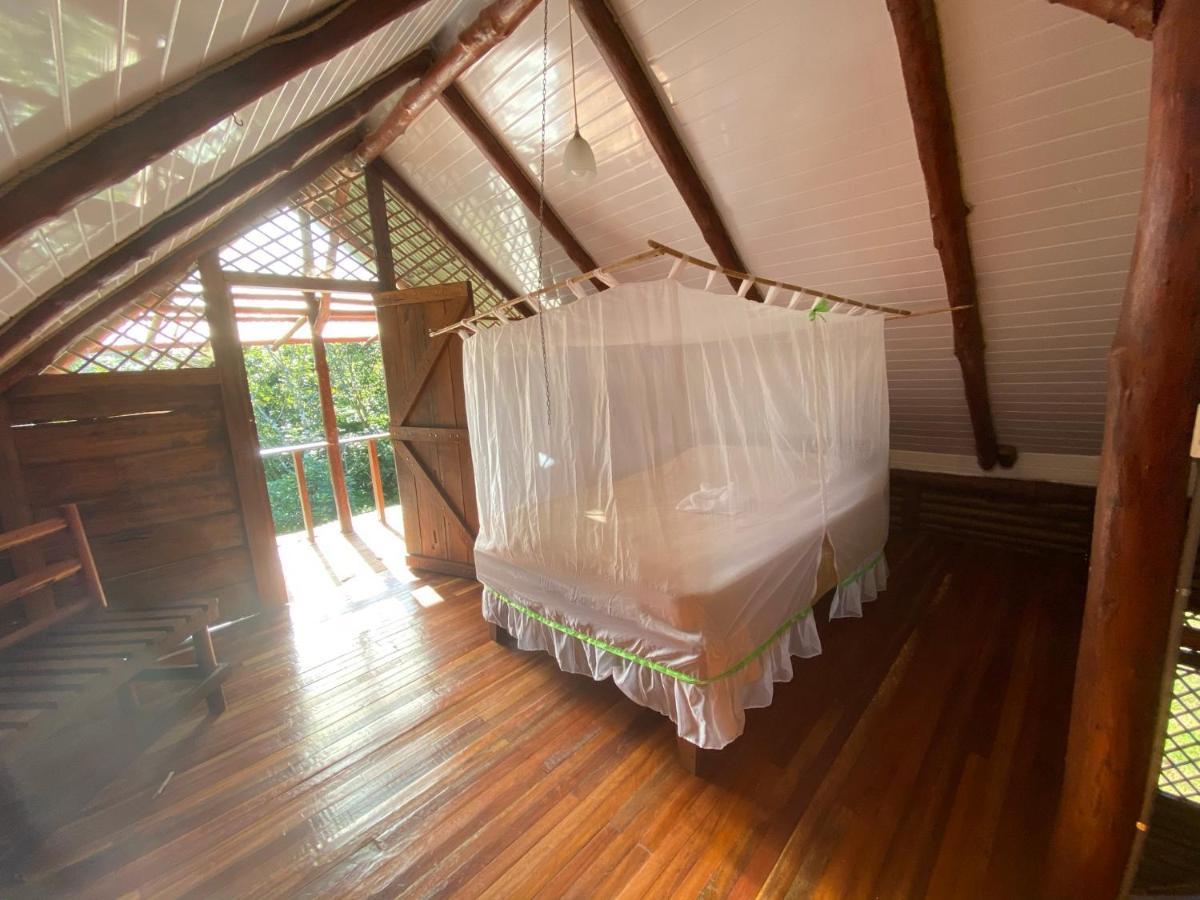 Eco Guest House- Sarapiqui 2 Eksteriør bilde