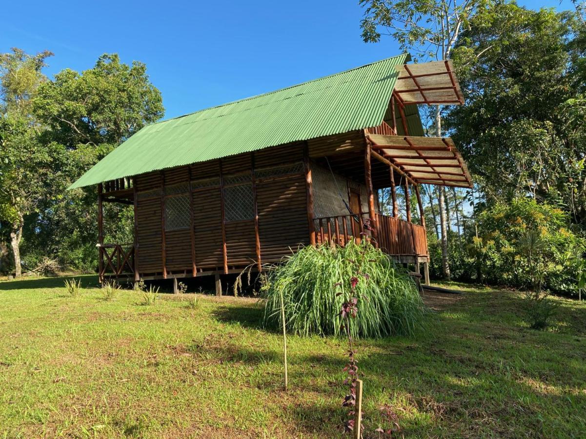 Eco Guest House- Sarapiqui 2 Eksteriør bilde